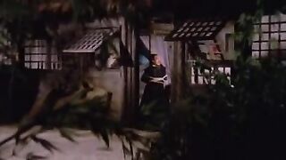 情色電影-陳萍《流星蝴蝶劍》