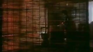 情色電影-村上麗奈《我為卿狂》