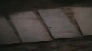情色電影-陳萍《油鬼子》1