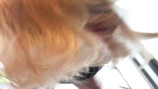 E奶肥臀反差妹 對話淫蕩 被紋身肥豬佬各種蹂躪-04